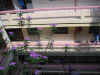 DSC00002.JPG (597625 �r?)