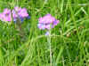 DSC00011.JPG (566897 �r?)