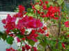 DSC00019.JPG (580854 �r?)
