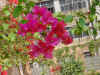 DSC00022.JPG (610236 �r?)