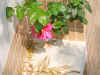 DSC00023.JPG (559611 �r?)