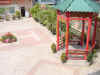 DSC00040.JPG (604537 �r?)