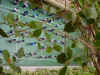 DSC00046.JPG (585846 �r?)