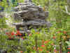 DSC00049.JPG (613259 �r?)