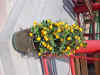 DSC00052.JPG (607246 �r?)