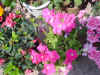 DSC00055.JPG (609112 �r?)