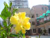 DSC00058.JPG (569399 �r?)