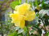 DSC00060.JPG (578546 �r?)