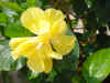 DSC00061.JPG (574977 �r?)