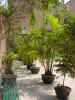 DSC00063.JPG (608694 �r?)