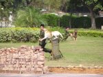 ڻ�uD!!!