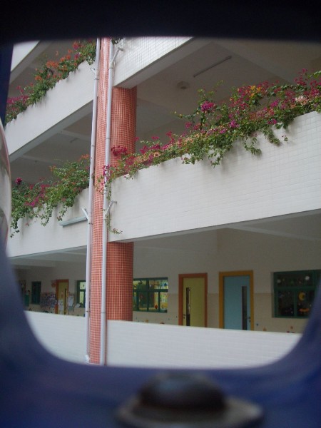 ../Images/Imgp9068.jpg