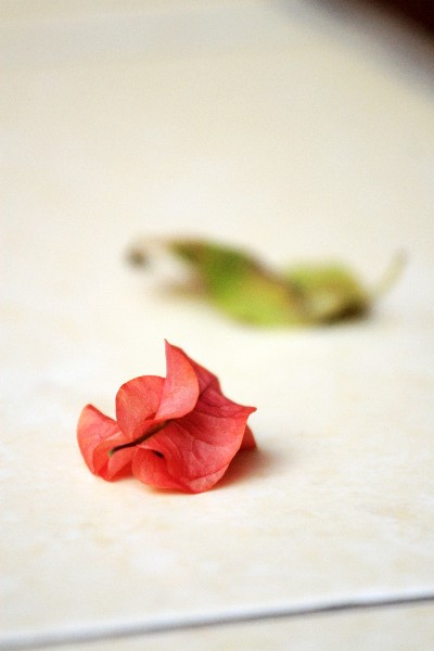 ../Images/_mg_8644.jpg