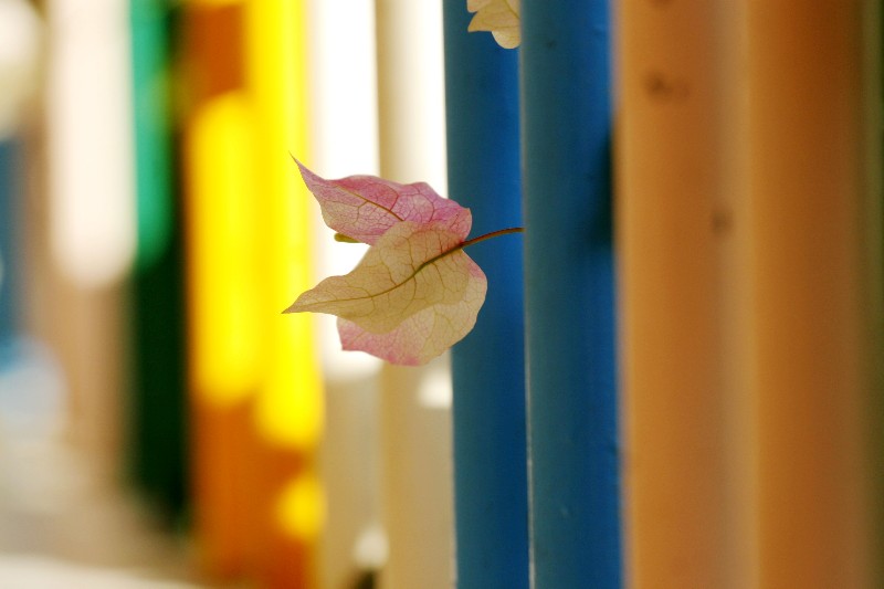 ../Images/_mg_8942.jpg