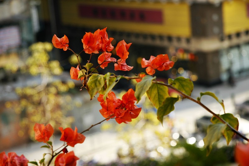 ../Images/_mg_9009.jpg