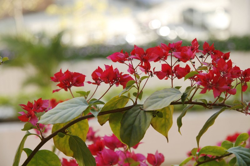 ../Images/_mg_9010.jpg