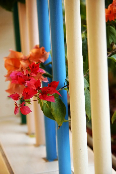 ../Images/_mg_9014.jpg