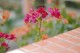 Thumbs/tn_Dsc_0002.jpg