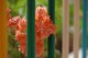 Thumbs/tn_Dsc_0003.jpg