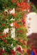 Thumbs/tn__mg_8606.jpg