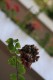 Thumbs/tn__mg_8654.jpg