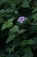 Thumbs/tn__mg_8669.jpg