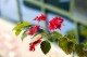 Thumbs/tn__mg_8820.jpg