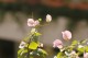 Thumbs/tn__mg_8925.jpg
