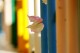 Thumbs/tn__mg_8942.jpg