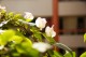 Thumbs/tn__mg_8967.jpg