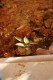 Thumbs/tn__mg_8971.jpg