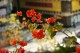 Thumbs/tn__mg_9009.jpg