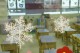 Thumbs/tn__mg_9022.jpg
