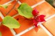Thumbs/tn__mg_9026.jpg