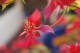 Thumbs/tn__mg_9028.jpg