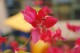 Thumbs/tn__mg_9029.jpg