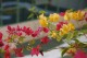 Thumbs/tn__mg_9032.jpg