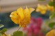 Thumbs/tn__mg_9036.jpg